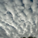 morningclouds1
